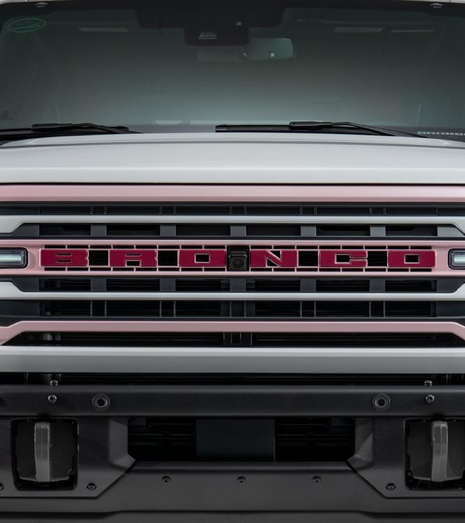 Close-up of a Bronco front grille showing the distinctive raised BRONCO letters finished in a custom pink paint.
